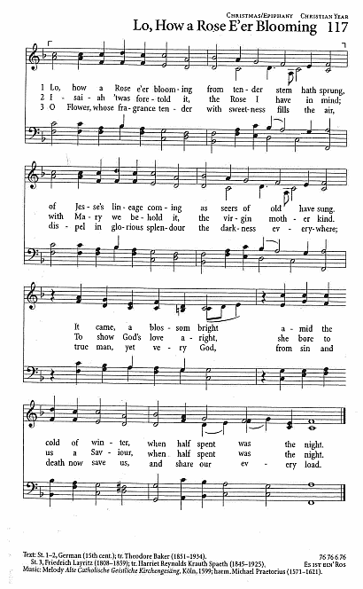 Communion Hymn CP #117 'Lo, How a Rose E'er Blooming'